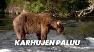 Karhujen paluu (7) - Karhujen paluu (7)