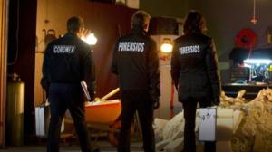 CSI: Crime Scene Investigation (12) - De Los Muertos