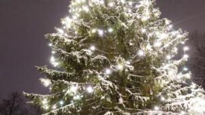 HS Lasten uutiset - Lasten uutiset 16.12. - Tässä on Suomen ykköskuusi