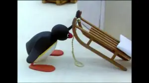Pingu (S) - Pingu (S)