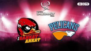 SSRA - Pelicans SB - SSRA - Pelicans SB 25.1.
