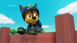 Paw Patrol(Paramount+) - Jääkarhujen Pelastajat / Pentu Lampaan Vaatteissa
