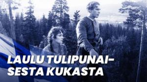 Laulu tulipunaisesta kukasta (12) - Laulu tulipunaisesta kukasta