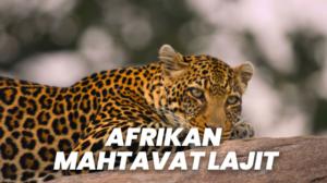 Afrikan mahtavat lajit