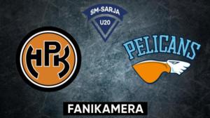 HPK - Pelicans, Fanikamera - HPK - Pelicans, Fanikamera 21.11.