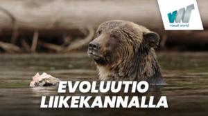 Evoluutio liikekannalla (7) - Moskovan villikoirat