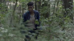 The Walking Dead (16) - Samaa kuin aina
