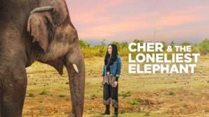Cher & the Loneliest Elephant (Paramount+) - Cher & the Loneliest Elephant
