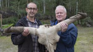 Mammutit: Jääkauden jättiläiset (7) - Mammutit: Jääkauden jättiläiset (7)