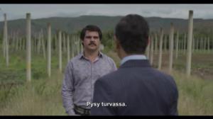 El Chapo (12) - Vainukoira