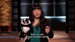 Leijonan luola USA - Koira pandan vaatteissa