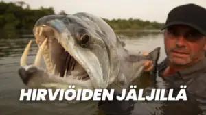 Hirviöiden jäljillä