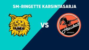 Ilves - Haukat, Fanikamera - Ilves - Haukat, Fanikamera 2.4.
