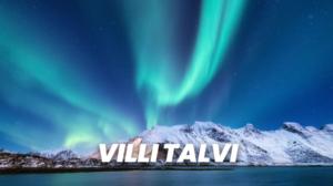 Villi talvi