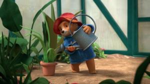 Karhuherra Paddingtonin seikkailut (Paramount+) - Paddington puutarhurina / Paddington taiteilee