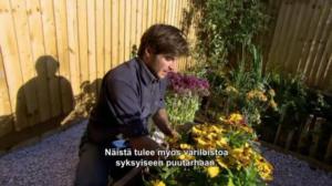 Puutarhan pelastajat - Kaaoksen kesytys