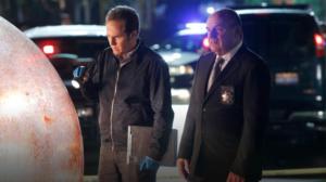 CSI: Crime Scene Investigation (12) - Helpless