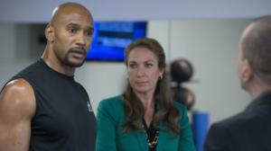 Law & Order: Special Victims Unit (12) - American Disgrace