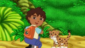 Go, Diego, Go! (S) - Baby Jaguar to the Rescue
