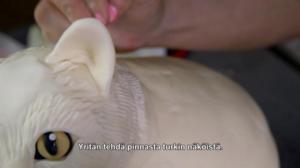 Huikeat kakkutaiturit - Irvikissa ja valtava muna