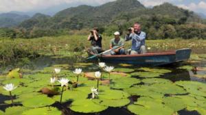 Nigel Marven: Villi Keski-Amerikka (7) - Villi Honduras