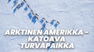Arktinen Amerikka - katoava turvapaikka (7)