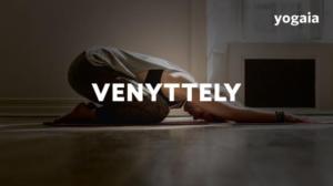 Kuntokuuri - Harjoitus 4: Venyttely