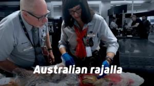 Australian rajalla - Hopean hohdetta