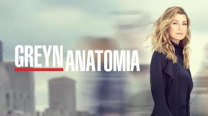 Greyn anatomia (7)