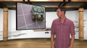 Tosh.0(Paramount+) (12) - Rock Climber Pooed Pants