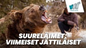 Suureläimet: Viimeiset jättiläiset (7) - Amerikan mantereet