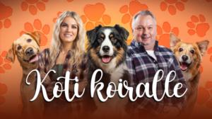 Koti koiralle