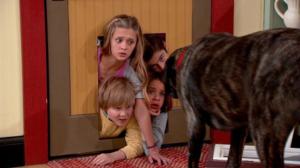 Nicky, Ricky, Dicky & Dawn (S) - Doggy Door Afternoon