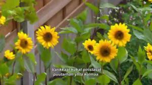 Puutarhan pelastajat - Kleingarten