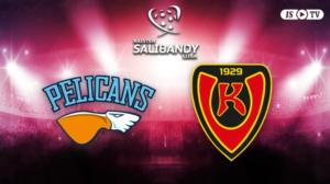 Pelicans SB - Koovee - Pelicans SB - Koovee 14.10.
