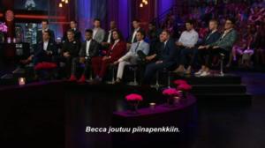 Unelmien poikamiestyttö - Miehet kertovat
