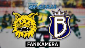 Ilves - Blues, Fanikamera - Ilves - Blues, Fanikamera 19.1.