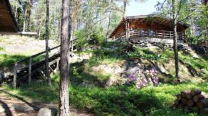 Huvila & Huussi - Mökki mäen päällä